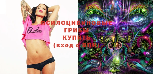 a pvp Алзамай