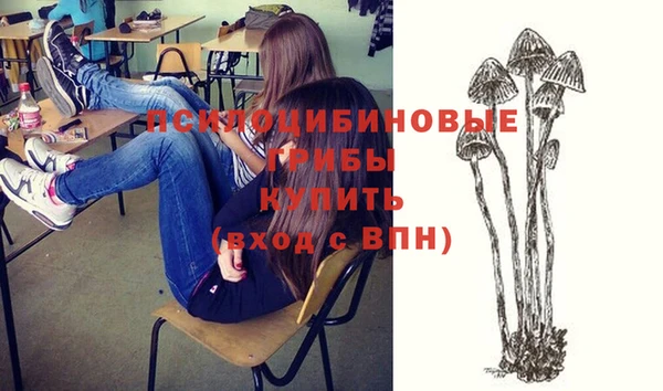 PSILOCYBIN Абдулино