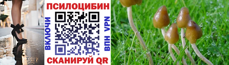 Галлюциногенные грибы мицелий  как найти   Новокузнецк 