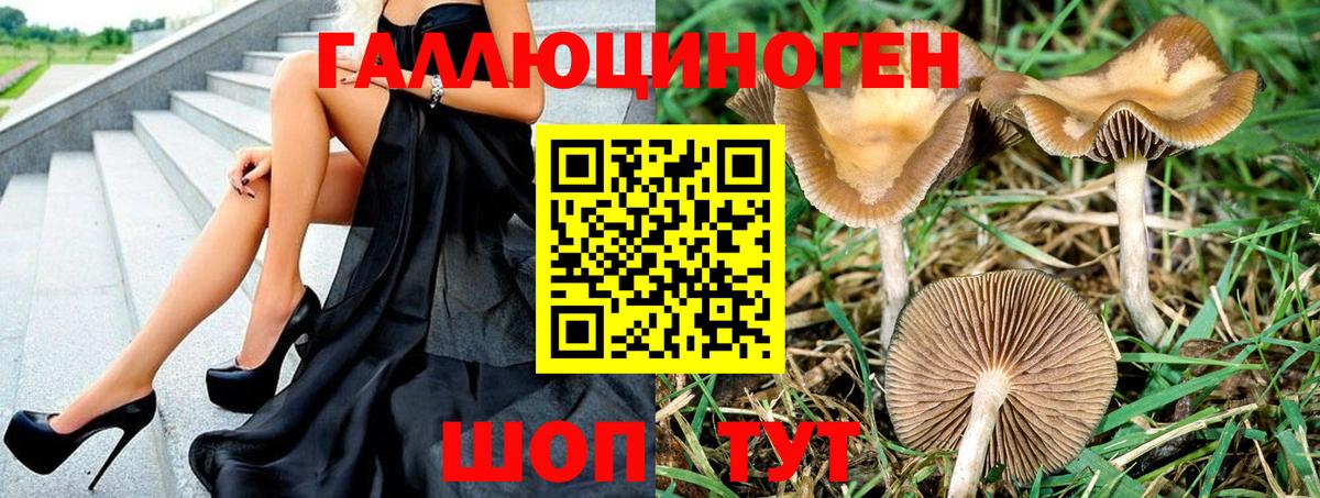 магазин  наркотиков  Галлюциногенные грибы Magic Shrooms  Вход с VPN  Новокузнецк  Галлюциногенные грибы MAGIC MUSHROOMS 